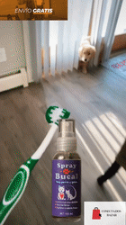 SPRAY BUCAL MASCOTAS - "Adiós placa y mal aliento sin estrés" - Lleva el tratamiento x3 meses y vas a ahorrar plata y energía
