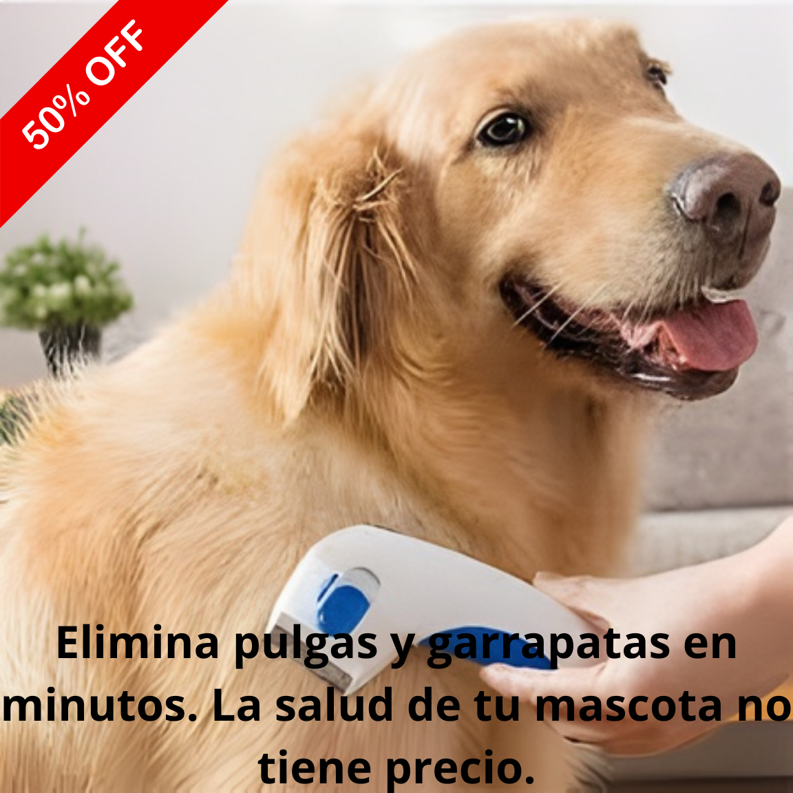 Cepillo Peine Eléctrico Mata Pulgas - Cuida la Salud de tu Mascota con Alta Tecnología